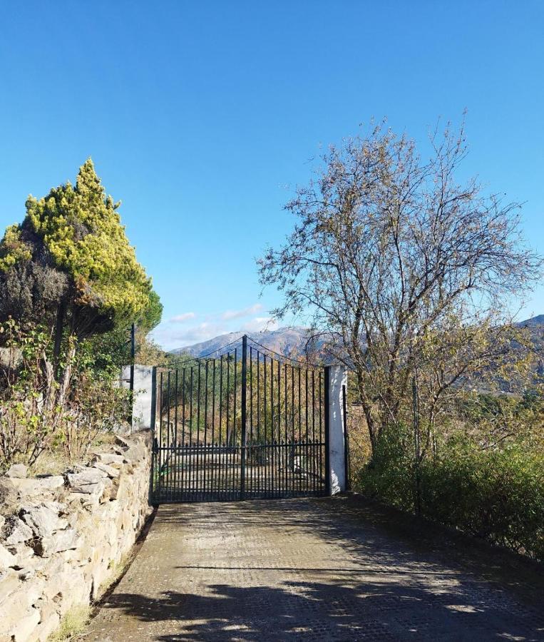 科提德拉方特尔 Casa El Pino旅馆 外观 照片