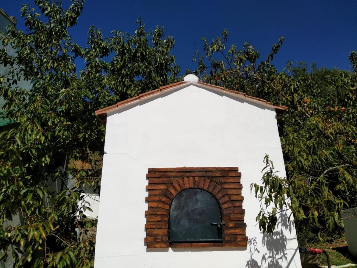 科提德拉方特尔 Casa El Pino旅馆 外观 照片